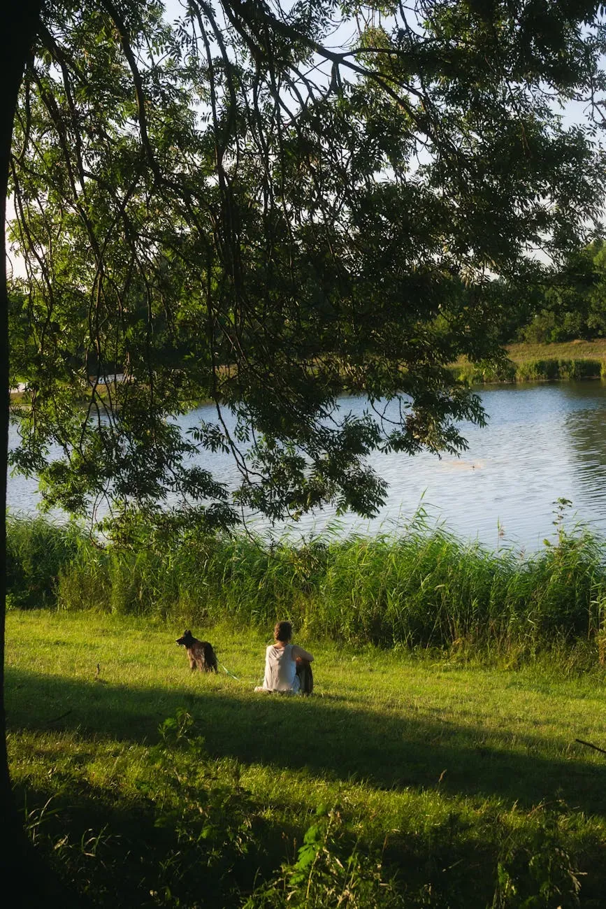 Австралийский келпи - фото 12