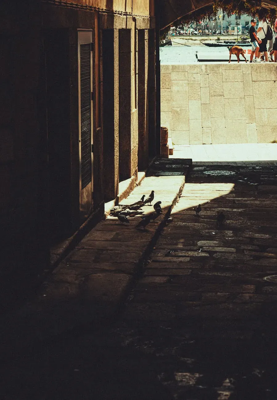 Австралийский келпи - фото 5