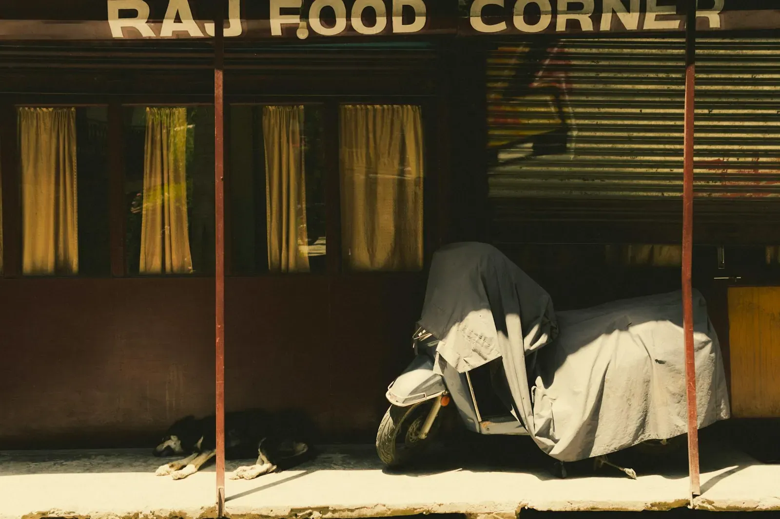 Австрийская гончая - фото 22