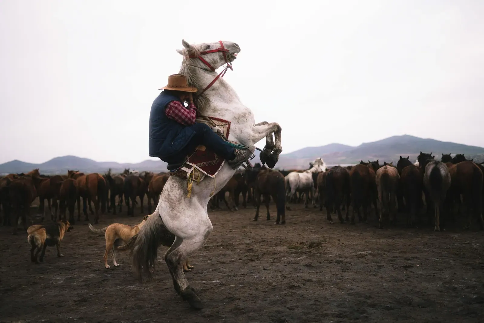 Австрийский Пенненсбрук - фото 12