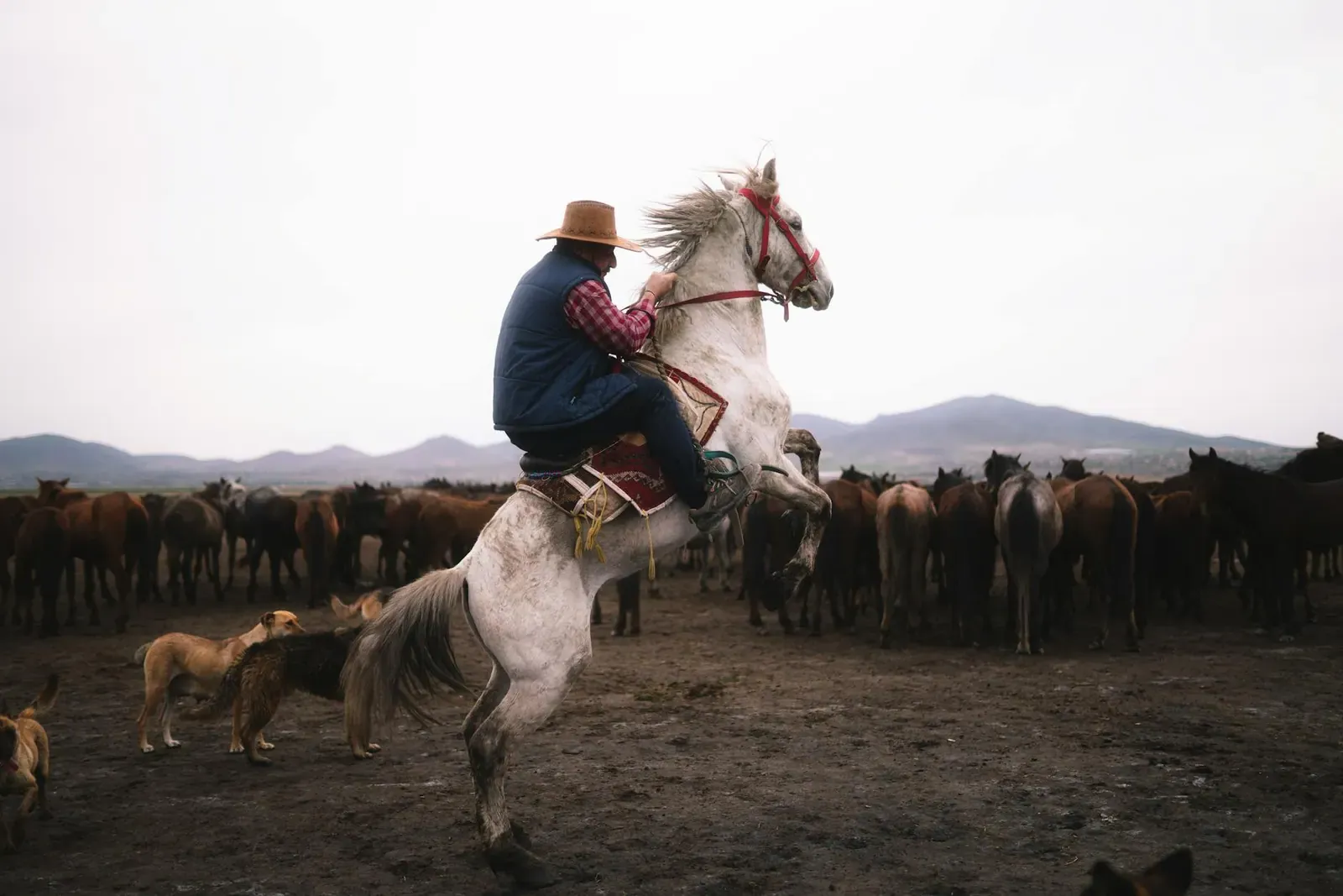 Австрийский Пенненсбрук - фото 2