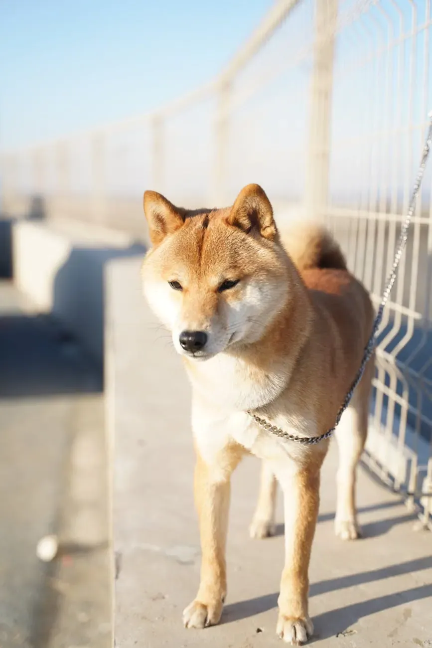 Австрийский Пенненсбрук - фото 14