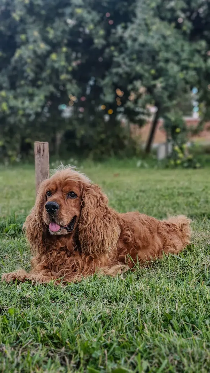 Азавак - фото 12